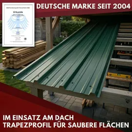 Albatros Trapezblech Dachplatten 12er Set Anthrazit RAL 7016 1090 x 445 mm verzinkt