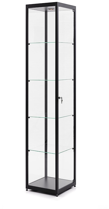 Vitrine sdb grau, 200x40x40 cm