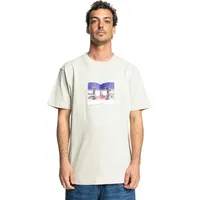 DC Shoes Metallic Star Kurzarm-t-shirt - Pelican - L