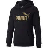 Puma Kapuzensweatshirt »ESS+ Logo Hoodie FL G schwarz