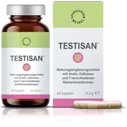 TESTISAN 60 St Kapseln