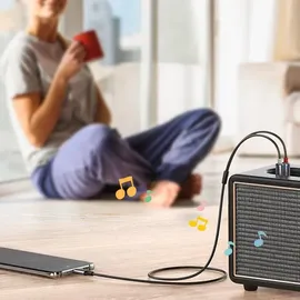 UGREEN USB-C - 2rca Audiokabel, 1,5m, Grau