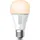 TP-Link Kasa Smart Light Bulb 10W White Wi-Fi White