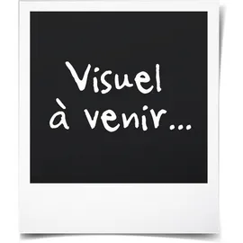 AILORIA Flash Travel FT-271B