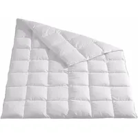 Traumschlaf Daunendecke Arktis medium, Füllung: 90% Daunen, 10% Federn 155x220 cm - weiß