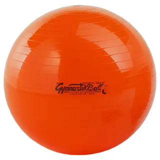 tonkey active life Original Pezzi Gymnastikball mit Übungsanleitung 1 St