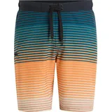 Firefly Badeshorts Otto II Shade Stripe Grün XL