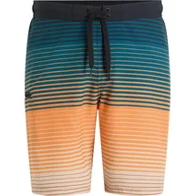 Firefly Badeshorts Otto II Shade Stripe Grün XL