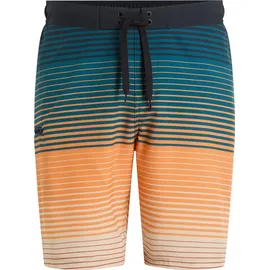 Firefly Badeshorts Otto II Shade Stripe Grün XL