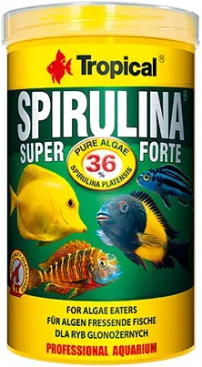 TROPICAL Super Spirulina Forte 250ml (Rabatt für Stammkunden 3%)