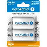 Everactive Akku D 10000 mAh 2 St.