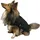 Fashion Dog Hunde-Regenmantel mit Fleecefutter Schwarz 65 cm 1 St