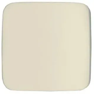 Busch-Jaeger Z-Scheibe Zettler var. Neutral, Duro 2000 Si weiss 1790-580-212