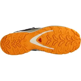 Salomon XA Pro 3D V9 GTX Herren Black/Vanilla Ice Turmeric 42