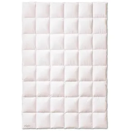 Kauffmann Weidegans Daunendecke Österreichische 155x220 cm medium -