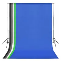 vidaXL Fotostudio-Set mit Beleuchtung und Hintergrund