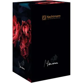 Nachtmann Minerva Vase andere Glas Transparent