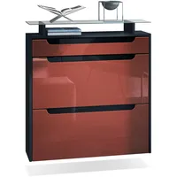 Vladon Schuhschrank, Bordeaux, Schwarz Hochglanz, Holzwerkstoff, 89x96x23 cm, Garderobe,