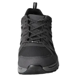 Lowa Innox EVO II GTX GRAU/GRAU 44
