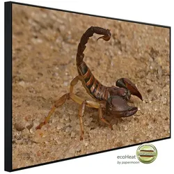 papermoon Infrarotheizung »EcoHeat - Aggressiver Skorpion«, Matt-Effekt - bunt