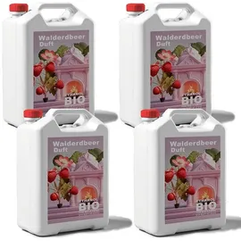 DTPSOFT Bioethanol Premium 100% Walderdbeerduft 20 Liter