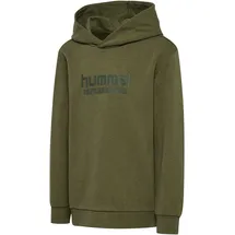 hummel Base Hoodie Green 104