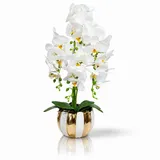 Kunstorchidee PASCH® Orchidee künstlich wie echt in Hochglanz-Keramiktopf Orchidee, PASCH, Hochglanz Keramiktopf