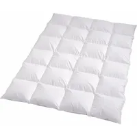 Traumschlaf Daunendecke Arktis warm, Füllung: 90% Daunen, 10% Federn 155x220 cm - weiß