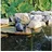UBBINK Wasserspeier Frosch