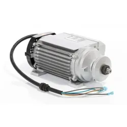 ELMAG Motor 230 Volt - 9601908