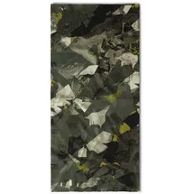 Buff CoolNet UV Multifunktionstuch 809 hetch forest