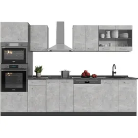 Vicco Küchenzeile R-Line 300 cm Grau