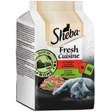 Sheba 36x50g Huhn & Truthahn Sheba Fresh Cuisine Taste of Rome Katzenfutter nass