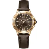 Citizen Europameisterschaft 1163-09X