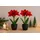 I.GE.A. Kunstblume I.GE.A. "Amaryllis im Topf", rot, B:17cm H:28cm L:14cm, Polyester, Kunstpflanzen, 2erSet Blume Weihnachtsblume Weihnachtsdeko Winterblume Floristik Deko