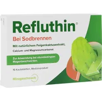 Dr. Willmar Schwabe Refluthin bei Sodbrennen Kautabletten Minze