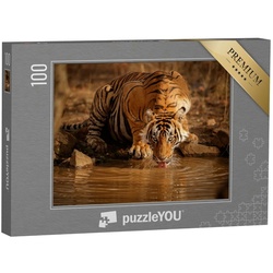 puzzleYOU Puzzle Tiger in der Natur in Rajasthan, Indien, 100 Puzzleteile, puzzleYOU-Kollektionen Tiger, Tiere in Savanne & Wüste