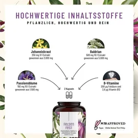 NATURTREU Felsenfest Kapseln 90 St.
