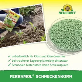 NEUDORFF Ferramol Schneckenkorn 1 kg