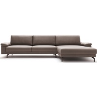 hülsta sofa Ecksofa hs.450 beige|grau 294 cm x 95 cm x 178 cm