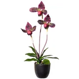 Kunstpflanze Orchidee Frauenschuh,  45 cm, bordeauxgrün