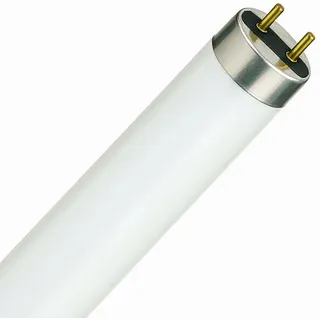 Osram Lumilux T8 L 36W/865 G13