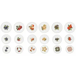 Geschirr 18 tlg. le primizie fresh fruits bone china