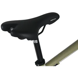Dacapo Firenze 300 28 Zoll RH 53 cm Herren Bronze
