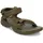 Olive 47