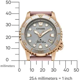 Citizen EO2023-00A