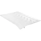 IRISETTE Faserdecke Lavina Mono medium, Füllung: 100% Markenhohlfaser 200x200 cm