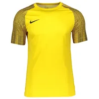 Nike Dri-Fit Academy Herren Fußballtrikot