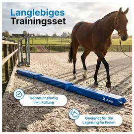 Dönges Balken Set 4 Stück Leder 300 x 17 x 10 cm Gelb/Blau
