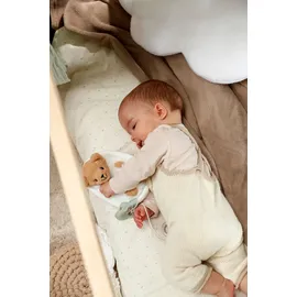 BABY BORN Zapf Creation BABY born for babies Spieluhr Teddy